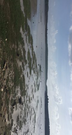 Park Den Dunki Curacao