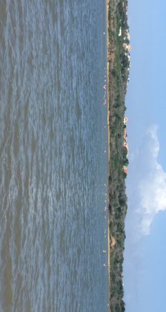 Park Den Dunki Curacao flamingo's