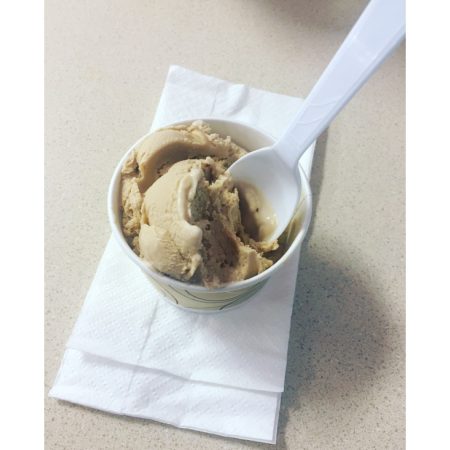 Baskin Robbins Jamoca