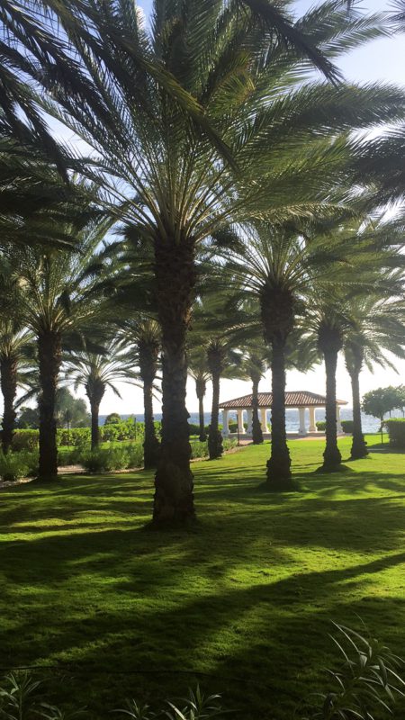 Santa Barbara