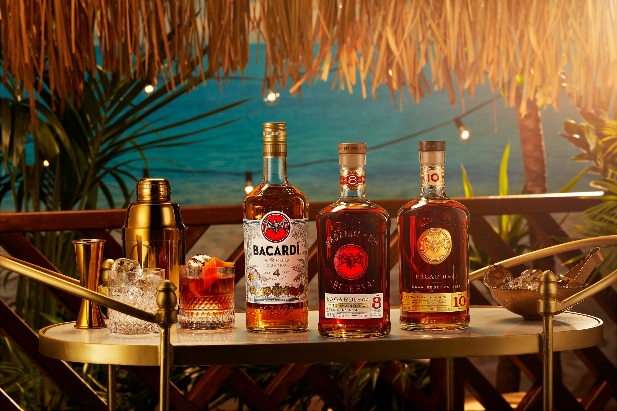 bacardi rum room nederland