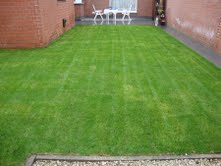 Graszoden onderhouden