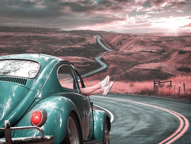 roadtrip partner tips