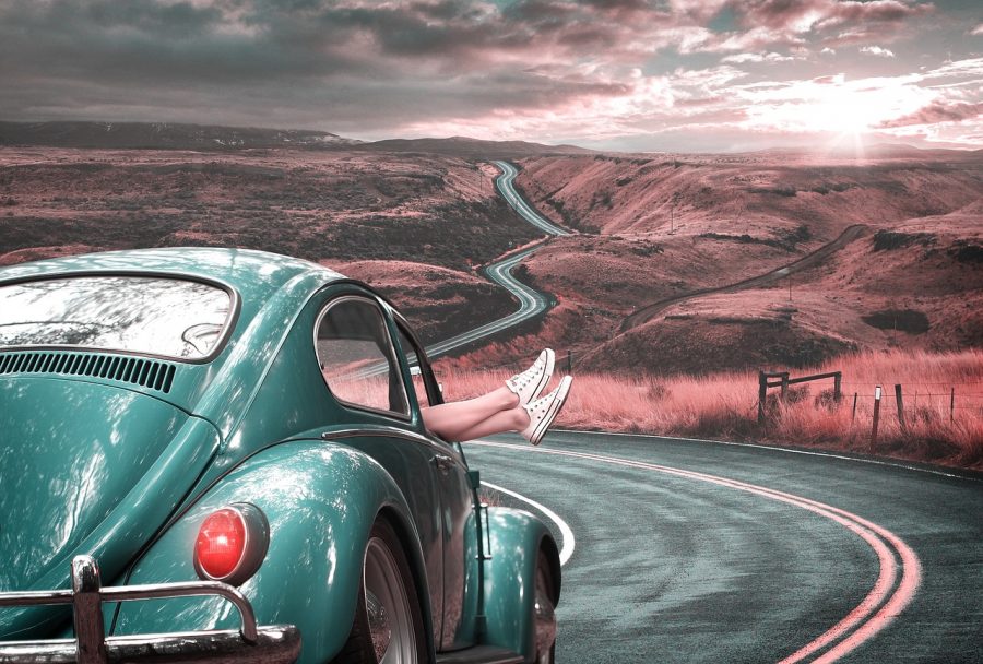 roadtrip partner tips